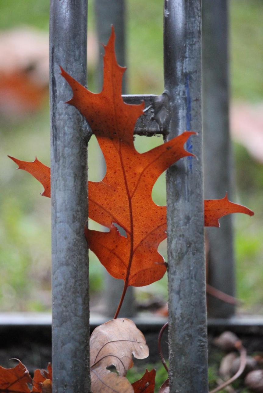 Woche des Lernens&nbsp;I