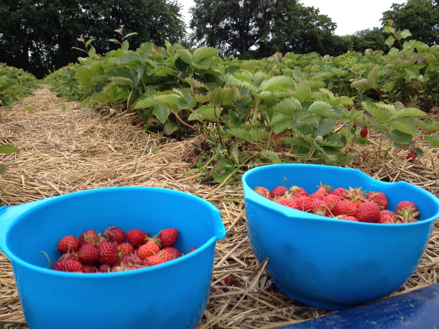 2016-06-19 17.24.59.jpg