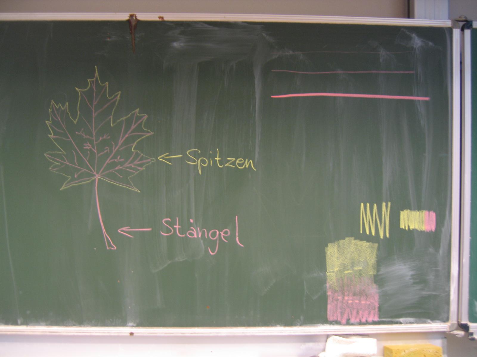 Herbstblätter abzeichnen (32).JPG