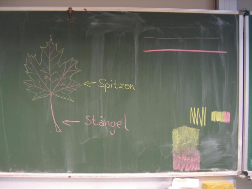 Herbstblätter abzeichnen (32).JPG