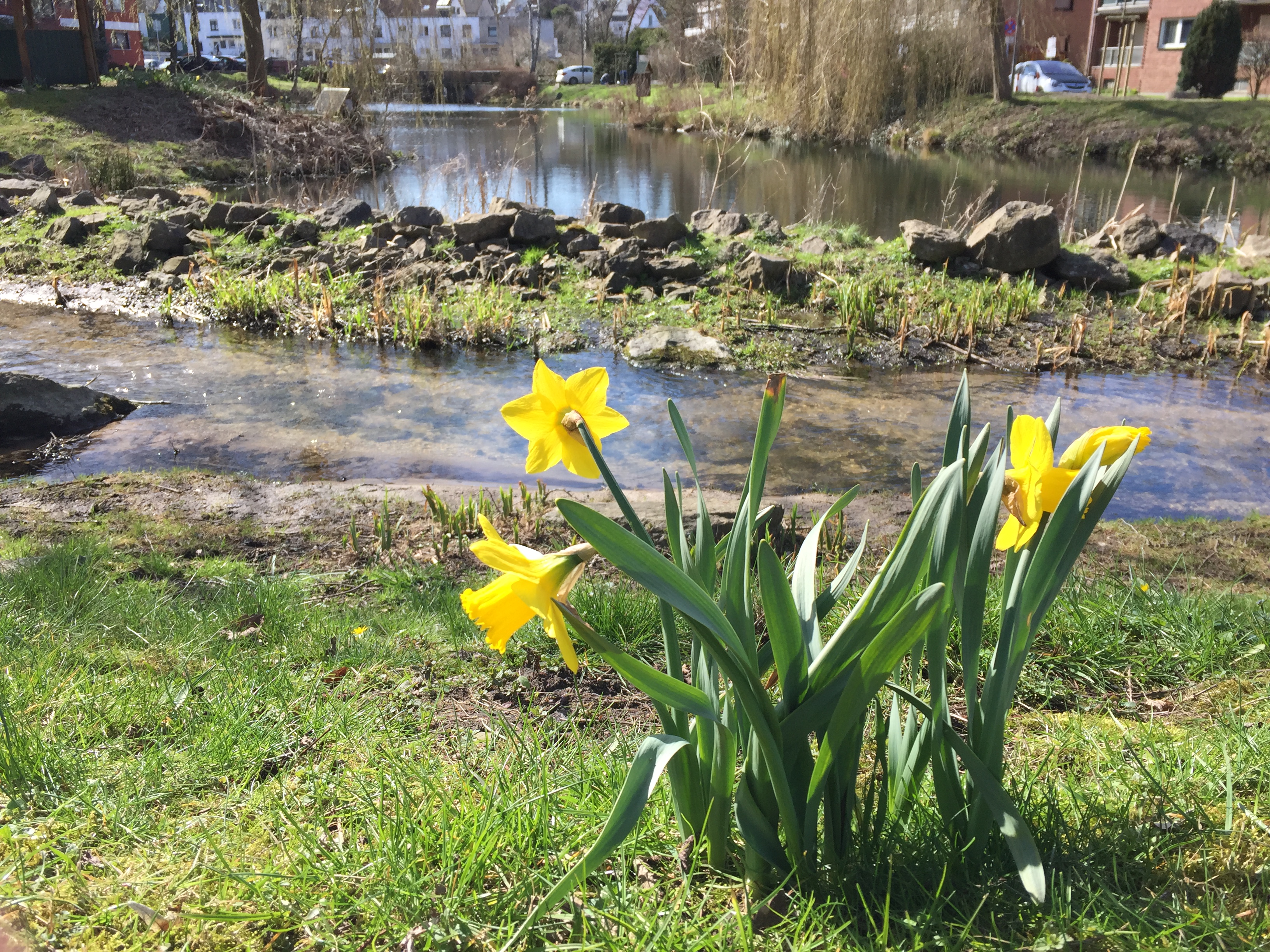 2018-04-06 15.39.33.jpg